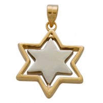 Two tone Star of David Pendant